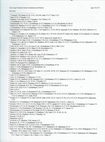 image of bylaws and constitution